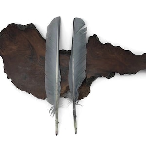 Puede incluir: Dos plumas grises se colocan sobre una pieza de madera marrón oscuro con una textura rugosa y natural.