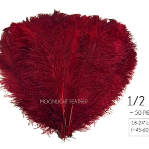 USA Large Feathers, 10 Pieces 18-24 Red Large Prime Grade Ostrich Wing  Plume Centerpiece Feathers : 3318 
