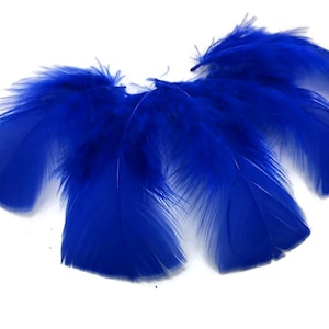 May include: A bunch of bright blue feathers, perfect for crafting or decorating.
