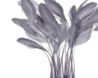 VENDEDOR DE EE. UU., 1 docena de plumas de cola de gallo con rayas gris plateadas, para sombreros, disfraces, bodas, Derby, suministros para manualidades: 3822