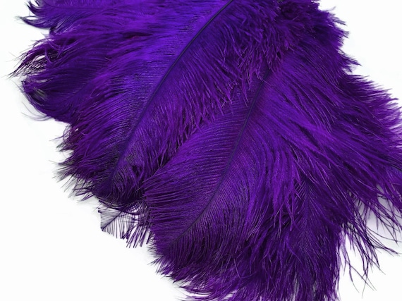 Ostrich Feathers, 10 Pieces 8-10 Purple Ostrich Dyed Drabs Feathers Party  Centerpiece Supplier : 1143 