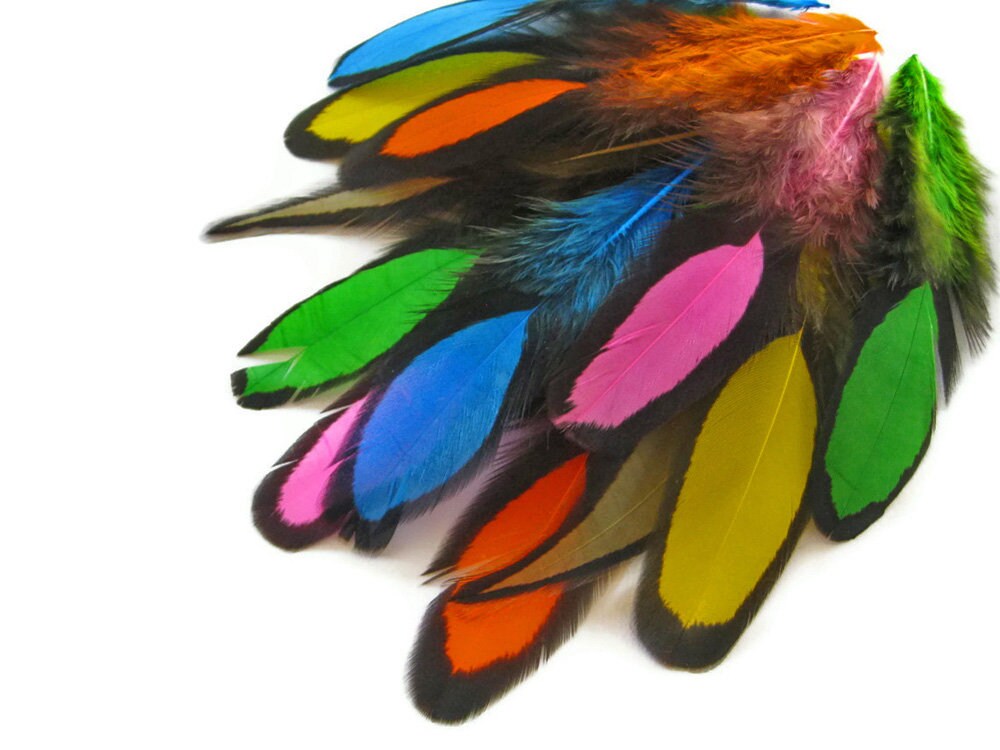 Rainbow Feathers 1 Dozen Multi Color Whiting Farms Laced 
