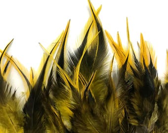1 Dozen - Short Yellow Badger Whiting Farm Rooster Saddle Hair Extension Feathers Summer Fly Tying Craft Supply : 763