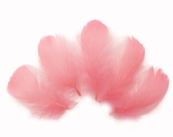 Coquille Feathers, 1/4 Lb. - Coral Goose Coquille 2-3" Loose Wholesale Feathers (Bulk) Halloween Wedding Carnival Supply : 3912