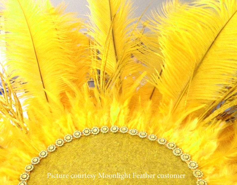 Wholesale Supplier , 1/2 lb 17-19 Yellow Large Ostrich Drab Plumage Wholesale Feathers bulk Mardi Gras Carnival Wedding : 2904 image 3