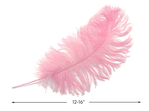 Ostrich Feathers, 10 Pieces 6-8 Light Pink Ostrich Dyed Drabs Body