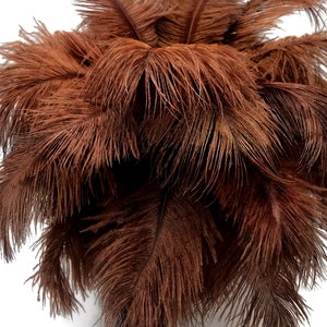 Ostrich Feathers, 10 Pieces - 6-8" Brown Ostrich Dyed Drabs Body Plumage Feathers Craft Supplier : 1366