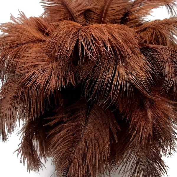 Ostrich Feathers, 10 Pieces - 6-8" Brown Ostrich Dyed Drabs Body Plumage Feathers Craft Supplier : 1366