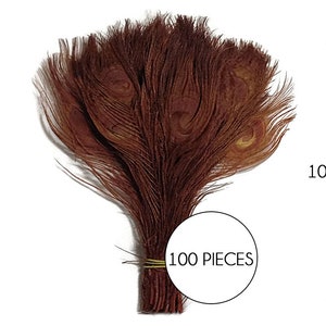 100 Pieces Chocolate Brown Bleached & Dyed Peacock Tail Eye Wholesale Feathers Bulk 10-12 Long Halloween Craft Supply : 1303 image 1