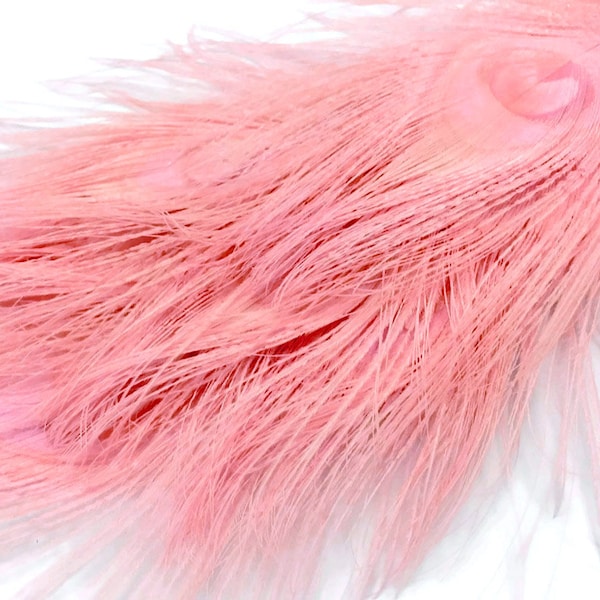 5 Pieces – Dusty Pink Bleached & Dyed Peacock Tail Eye Feathers 10-12” Long Halloween Craft Supply : 258