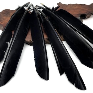 Kalkoen groothandel veren, 1/4 pound - Zwarte kalkoen primaire vleugelwijzers Grote ganzenveren (bulk) Halloween DIY Craft: 3191