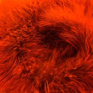 Orange Boa, 2 Yards Orange Turkey Medium Weight Marabou Feather Boa 25 Gram Halloween Craft Supply : 129 image 3