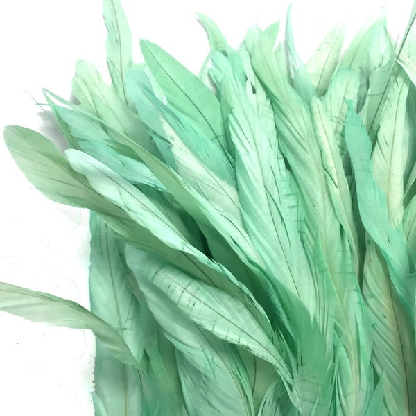 1 Yard - 10-12" Mint Green Bleach & Dyed Coque Tails Long Feather Trim (Bulk) Halloween Mardi Gras Costume Supply : 4237