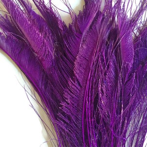 May include: A bunch of purple ostrich feathers. The feathers are soft and fluffy, and they have a slight shimmer to them.