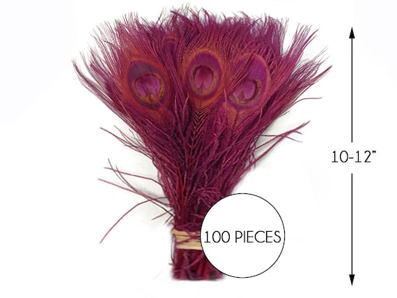 100 Pieces Burgundy Bleached & Dyed Peacock Tail Eye Wholesale