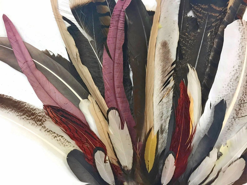 Puede incluir: Una colecci&oacute;n de plumas de varios colores, incluyendo marr&oacute;n, blanco, rojo y rosa. Las plumas est&aacute;n dispuestas en forma de abanico, con las puntas de las plumas apuntando hacia afuera.