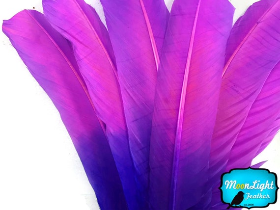 6 Pieces - Purple Turkey Rounds Secondary Wing Quill Feathers
