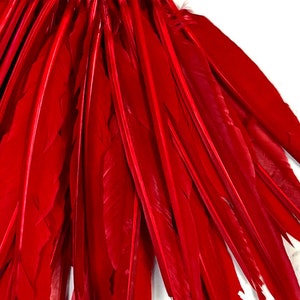 Puede incluir: Un montón de plumas de color rojo brillante, todas alineadas en la misma dirección. Las plumas son largas y estrechas, con una ligera curva en el extremo.