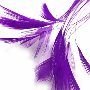 1 Dozen Purple Stripped Rooster Neck Hackle Eyelash Feather Millinery Fly Tying Costume Craft Supply : 398 image 7