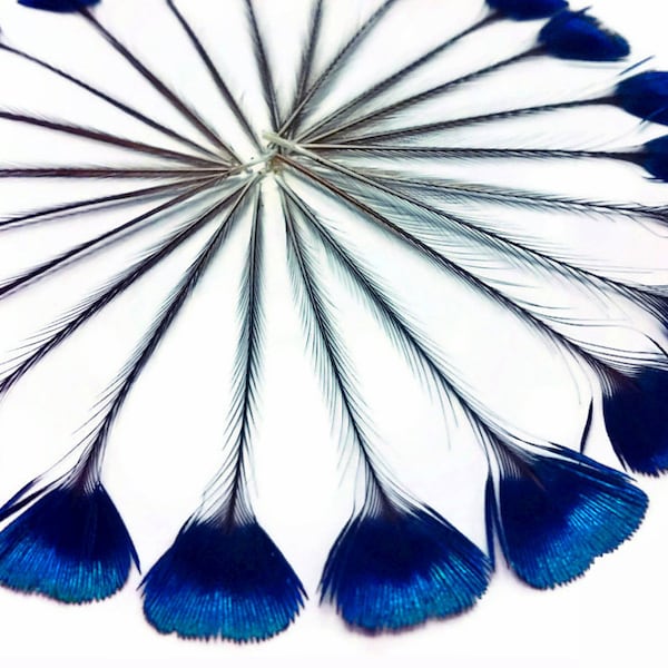 Mini Peacock Feathers, 10 Pieces - Blue Iridescent Peacock Crown / Crest / Crown Small Loose Feather : 2222