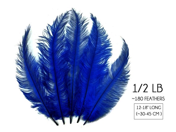 Ostrich Feathers, 1/2 Lb 12-18 Royal Blue Mini Spads Ostrich