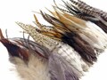 Salon Quality - 50 Pieces - Natural Tone Short Grizzly Whiting Farm Rooster Hair Extension Wholesale Feathers (Bulk) Jewelry Craft : 3106