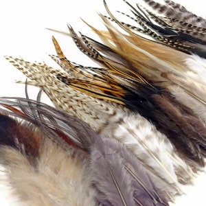 May include: Assortment of feathers in various shades of brown, gray, and white. The feathers are arranged in a row, with the tips of the feathers pointing to the right.