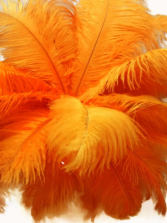 200 Feathers 9-13/" Burgundy Ostrich Drabs Wholesale Feathers Wedding Halloween