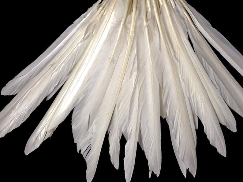 Wing Feathers 1/4 Lb. Natural White Goose Pointers Long Etsy