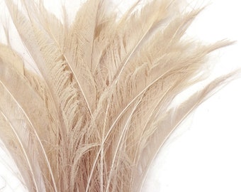Rockreyoa Plumes d'autruche de bricolage de 30 à 35 cm, couleurs macarons naturelles, plumes mixtes pour le bricolage, plumes d'oiseau colorées, décoration de cheveux, stylos artisanaux, pour Rockreyoa Plumes d'autruche de bricolage de 30 à 35 cm, couleurs macarons naturelles, plumes mixtes pour le bricolage, plumes d'oiseau colorées, décoration de cheveux, stylos artisanaux, pour