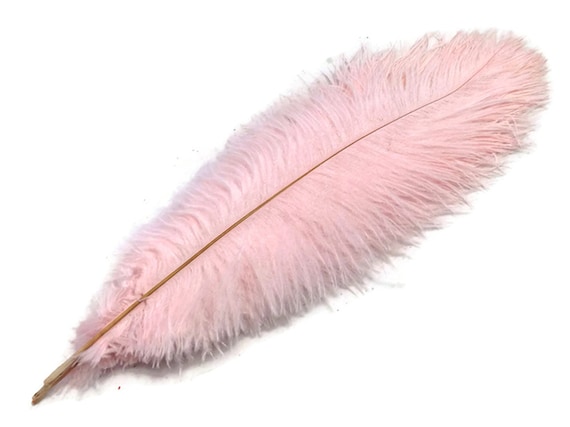 Large pink ostrich sale feathers
