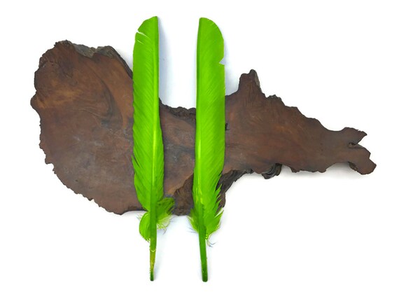 Plumas De Pavo (6 Piezas) - Plumas Grandes De Ala Primaria De