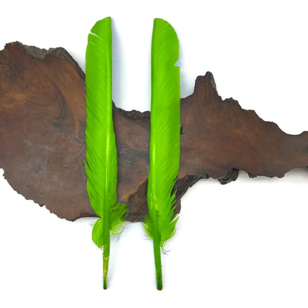 Quill Feathers, 6 Pieces - Lime Green Turkey Pointers Primary Wing Quill Large Feathers Halloween Costume Cosplay : 3856