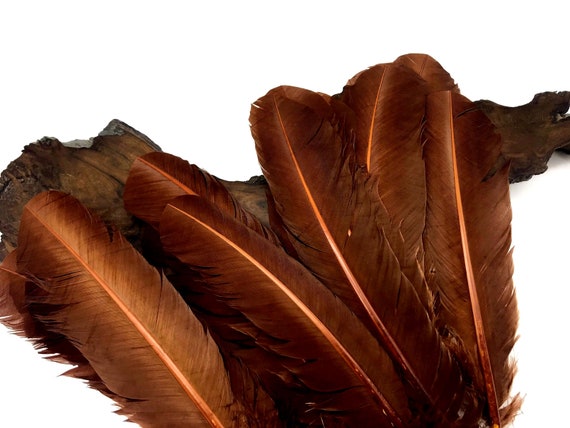 1/4 Lb - Pink Purple Ombre Turkey Tom Rounds Secondary Wing Quill Wholesale  Feathers (Bulk)