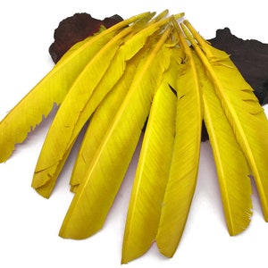 Puede incluir: Un montón de plumas de color amarillo brillante, probablemente para manualidades o decoración.