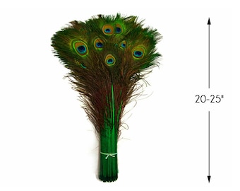 50 Pieces - 20-25" Kelly Green Dyed Over Natural Long Peacock Tail Eye Wholesale Feathers (Bulk) Halloween Carnival Costume : 4058