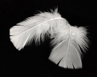 Turkey Feathers, 1 Pack - White Turkey T-Base Body Plumage Feathers 0.50 oz. Craft Cosplay Supplier : 135