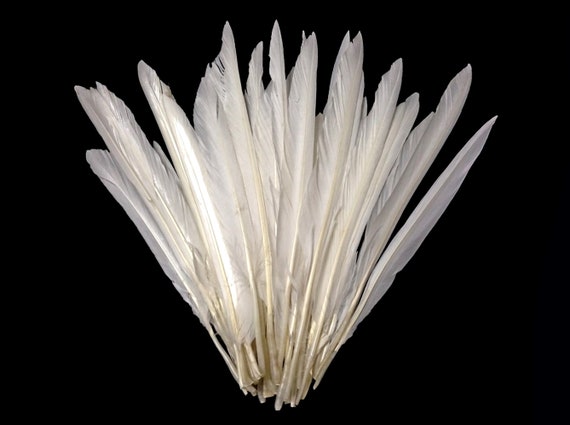 1/4 Lb - White Turkey Pointers Primary Wing Quill Large Wholesale Feathers  Bulk