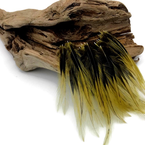 Rooster Feathers, 10 Pieces - Golden Olive Dyed BLW Laced Short Rooster Cape Whiting Farms Feathers Craft Supply : 4882