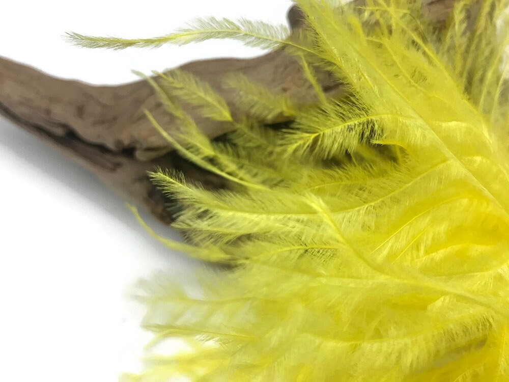 Ostrich Feathers 10 Yards Yellow Ostrich Fringe Trim Etsy