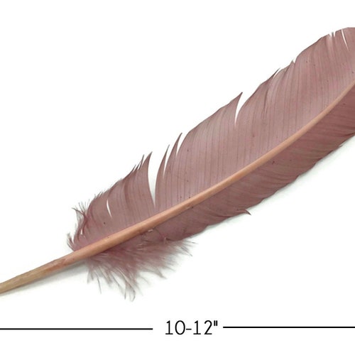 Wing Feathers, 1 Lb - Taupe Turkey orders Rounds Wing Quill Wholesale Feathers (Bulk) Halloween Craft Supplier : 4966