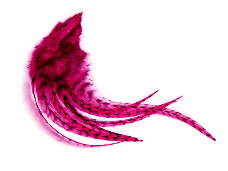 Pink Feathers, 1 Dozen Medium Hot Pink Grizzly Rooster Saddle Whiting Hair Extension Feathers Craft Supply : 525 image 3