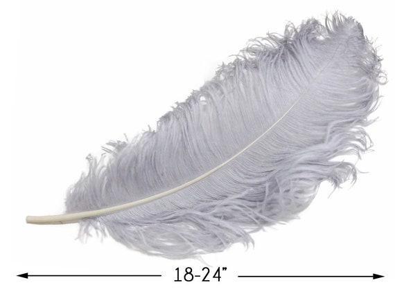 10 Pieces - 18-24 Snow White Large Prime Grade Ostrich Wing Plume  Centerpiece Feathers