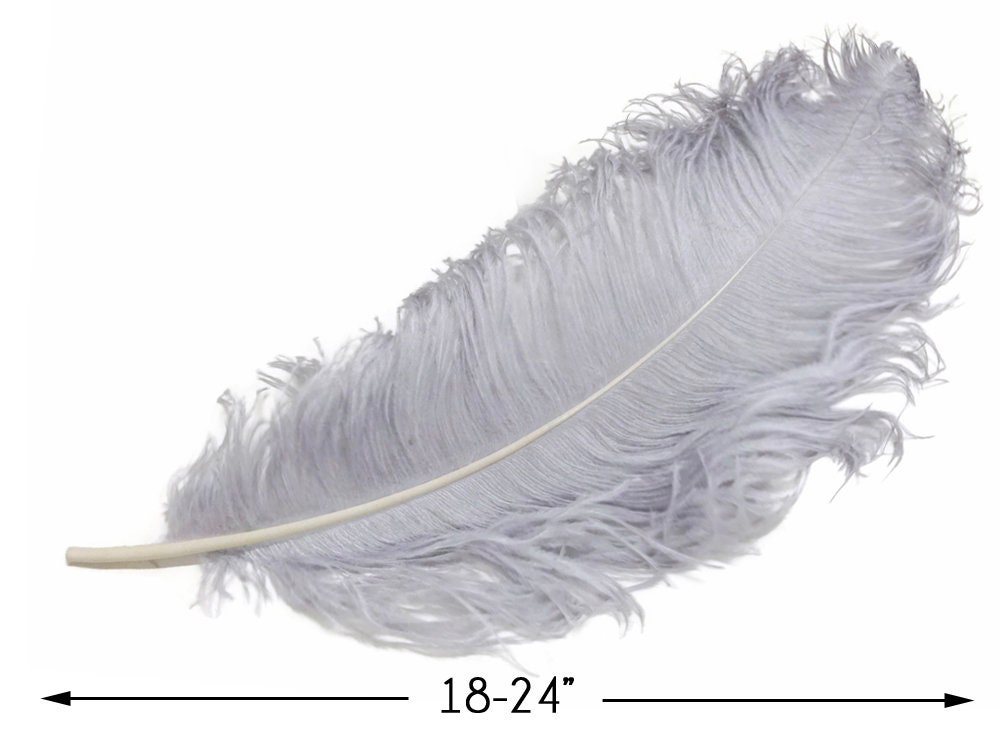 Wedding Feathers, 10 Pieces - 18-24" Silver Gray Large Prime Grade Ostrich Wing Plume Centerpiece Feathers : 4062