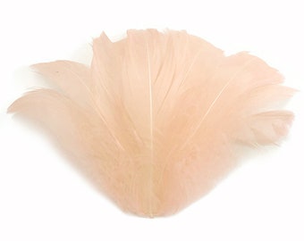 Plumes d'oreiller, 1/4 livre - 2-3" Champagne Goose Coquille Loose Wholesale Feathers (Bulk) Fournisseur d'artisanat : 928