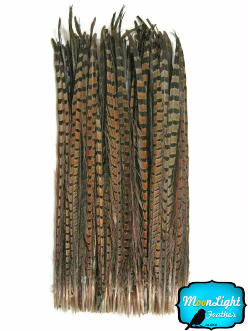 Pheasant Tail Feathers, 50 Pieces 20-26 NATURAL Ringneck Pheasant Tail Wholesale Feathers bulk : 2303 image 2