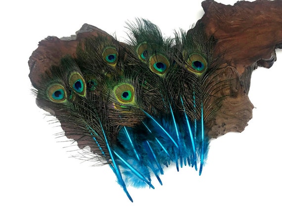 Bulk peacock feathers discount