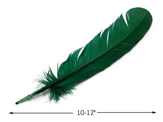Green Turkey Plumage Feathers - Bulk lb