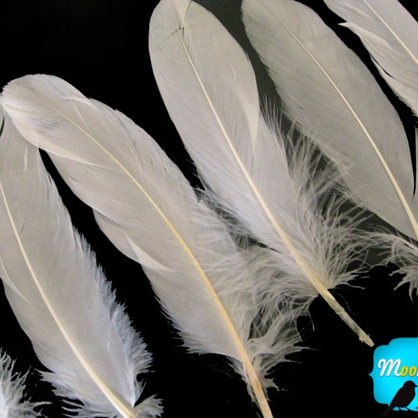 Ivory Goose Feathers, 1 pack - Ivory Goose Satinettes Loose feathers 0.3 oz. : 162