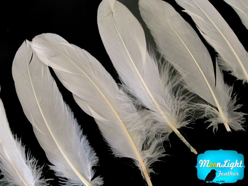 Ivory Goose Feathers, 1 pack Ivory Goose Satinettes Loose feathers 0.3 oz. : 162 image 1